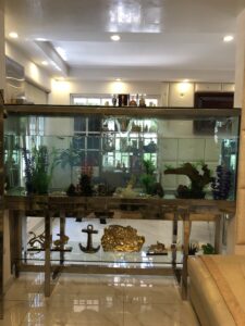 Showcase aquarium with decorative plants and glass tank, gold ornaments on display behind, modern white interior.
